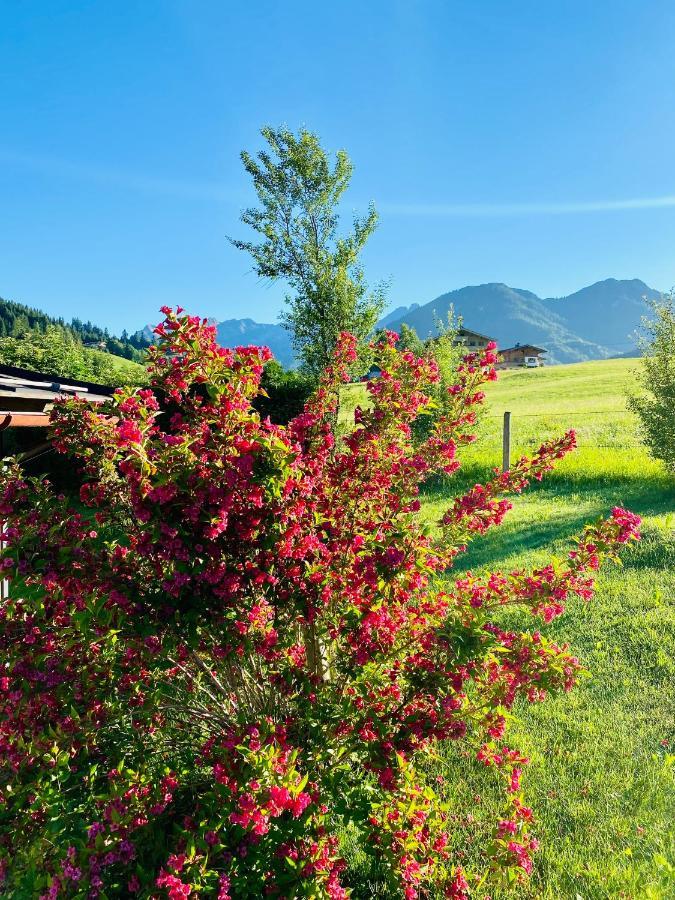 Appartamento Haus Asslaber Hochfilzen Esterno foto